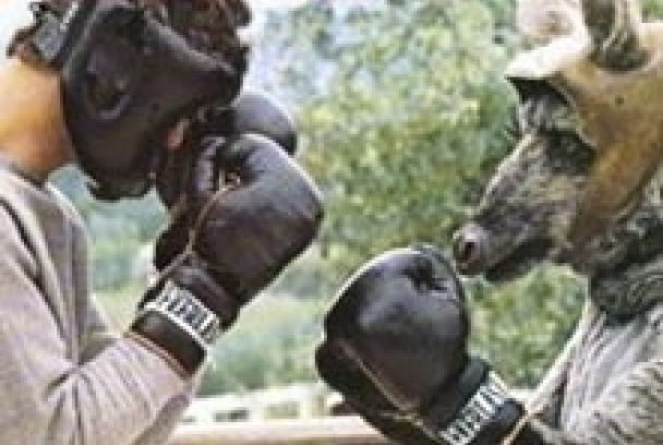 Super Rocky 